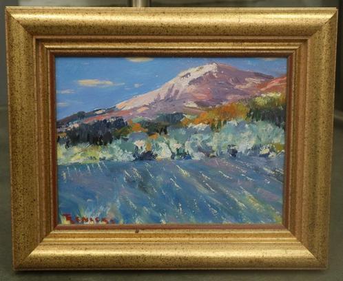 Tony Reniers, winter aan de Mont Ventoux, Antiek en Kunst, Kunst | Schilderijen | Klassiek, Ophalen of Verzenden