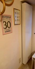 Lot de 2 radiateurs blancs 160 x 40 x 10 cm, Bricolage & Construction, Moins de 60 cm, Comme neuf, Enlèvement, 80 cm ou plus