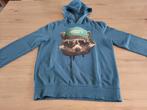 trui / pull / hoodie Skate Nation maat 146/152 (11-12 jaar), Ophalen of Verzenden, Gebruikt, Jongen, Trui of Vest