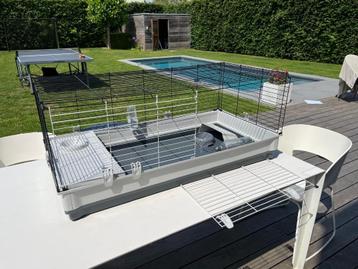 Cavia hok beschikbaar voor biedingen