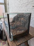 Terrarium met 3d structuren +- 40 op 40, Dieren en Toebehoren, Ophalen, Gebruikt, Terrarium of Paludarium