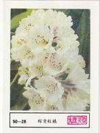 lucifermerk luciferetiket #215 bloemen (50-26), Boîtes ou marques d'allumettes, Envoi, Neuf