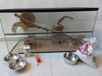 Ingericht terrarium voor knaagdieren, 100cm x 40cm x 50cm, Dieren en Toebehoren, Ophalen, Hamster