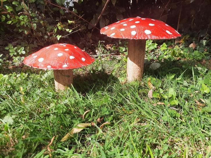 Betonnen tuinpaddenstoel, Tuin en Terras, Tuinbeelden, Beton, Ophalen of Verzenden