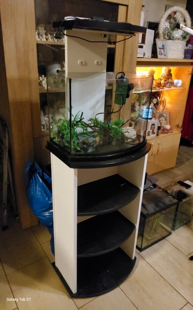 Aquarium met meubel en toebehoren, Dieren en Toebehoren, Vissen | Aquaria en Toebehoren, Zo goed als nieuw, Filter of Co2, Ophalen