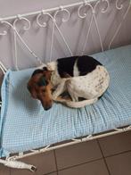 hondenmanden, Dieren en Toebehoren, Ophalen of Verzenden