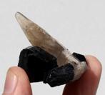 ROOKKWARTS met TOERMALIJN uit Erongo in NAMIBIE, Verzamelen, Ophalen of Verzenden, Mineraal