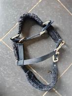 Licol Taille cob, Enlèvement, Comme neuf, Autres espèces
