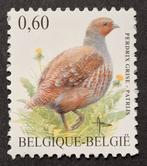 Belgique : COB 3381 ** Oiseaux 2005., Sans timbre, Neuf, Enlèvement ou Envoi, Non oblitéré