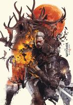 Witcher poster limited edition Gamescom 2014, Verzamelen, Posters, Rechthoekig Staand, Ophalen of Verzenden, Zo goed als nieuw