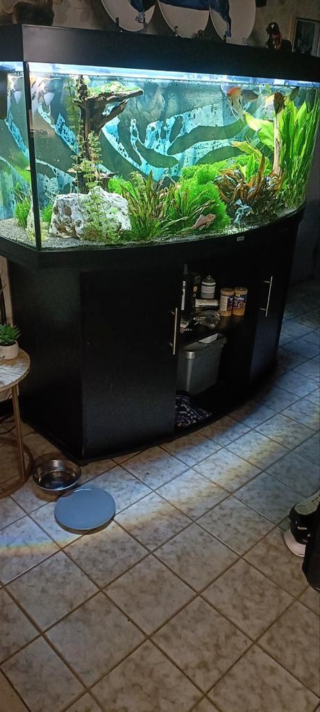 Aquarium juwel, Dieren en Toebehoren, Vissen | Aquariumvissen