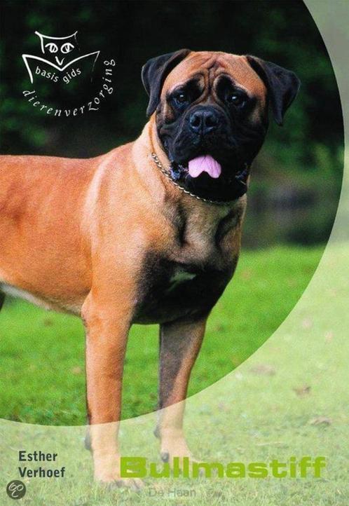 Bullmastiff basisgids dierenverzorging, Boeken, Dieren en Huisdieren, Zo goed als nieuw, Ophalen of Verzenden