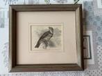 Ancienne gravure sur bois Victorienne de 1883, Ophalen