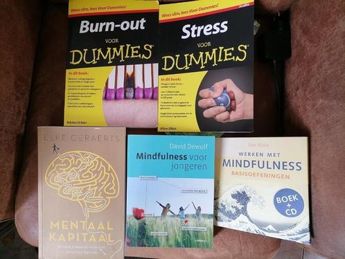 Boeken burn-out/ mindfulness, Livres, Psychologie, Comme neuf, Enlèvement ou Envoi