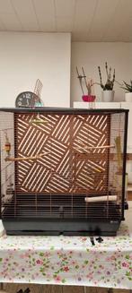 Papegaai kooi, Dieren en Toebehoren, Ophalen, Zo goed als nieuw, Kunststof, Overige typen