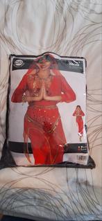 Verkleedkledij India dame danseres, Enlèvement