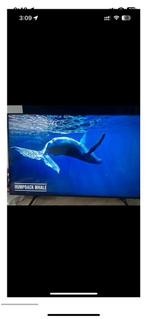 SAMSUNG QLED !!!, Audio, Tv en Foto, Ophalen, 100 Hz, Samsung, 40 tot 60 cm