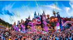 Laatste tomorrowland ticket vr zondag week 1, Tickets en Kaartjes, Evenementen en Festivals
