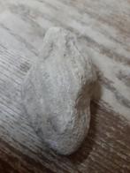 Marine Fossiel 1, Ophalen, Fossiel