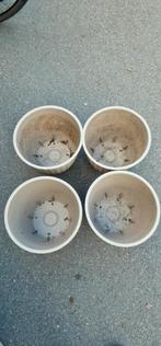 4 middelgrote bloempotten, Tuin en Terras, Bloempotten, Ophalen