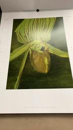 Kalender 2007 LUC TUYMANS, Ophalen of Verzenden