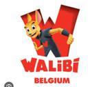 Walibi België, 2 tickets voor 11/11, Tickets en Kaartjes, Recreatie | Pretparken en Attractieparken, Twee personen, Ticket of Toegangskaart