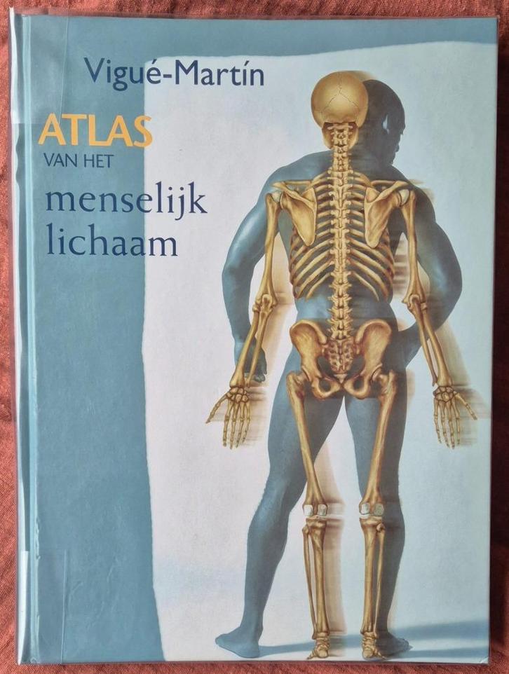 J. Vigue - Atlas van het menselijk lichaam, Livres, Science, Comme neuf, Enlèvement ou Envoi