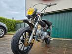 Honda dax parfait état moteur neuf, Particulier
