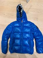 Veste save the duck, Kinderen en Baby's, Kinderkleding | Maat 140, Jongen of Meisje, Ophalen of Verzenden, Zo goed als nieuw, Save the duck