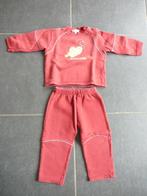 bordeaux setje: broek + trui, Enlèvement ou Envoi, Utilisé, Garçon ou Fille, Ensemble