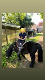 A-pony, Dieren en Toebehoren, Zadelmak, A pony (tot 1.17m), 7 tot 10 jaar, Tuigpony