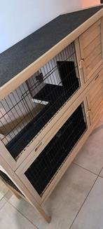Konijnenhok, Dieren en Toebehoren, Ophalen, Kooi, Cavia, 90 cm of meer