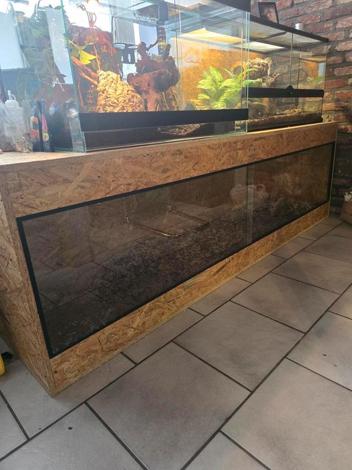 Terrarium uniek, Dieren en Toebehoren, Reptielen en Amfibieën | Toebehoren, Zo goed als nieuw, Ophalen