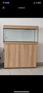 Aquarium 180liter + Kast, Enlèvement, Comme neuf, Autres types