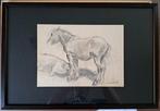 MALFAIT Hubert  "Staand paard, liggend paard " tekening, Enlèvement ou Envoi