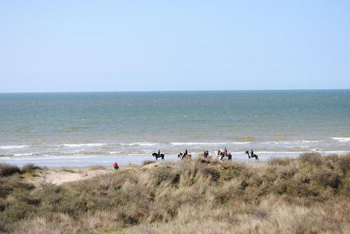 Studio te huur in De Panne, groot terras, frontaal zeezicht, Immo, Appartementen en Studio's te huur
