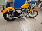 Harley-Davidson XL883C, 2 cilinders, Chopper, 883 cc, Particulier