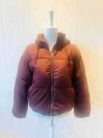 Bordeauxrood donsjack Bershka maat XS, Kleding | Dames, Jassen | Winter, Ophalen, Overige kleuren, Bershka, Maat 34 (XS) of kleiner