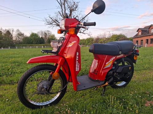 Honda scoopy, Fietsen en Brommers, Brommers | Honda, Zo goed als nieuw, Ophalen of Verzenden