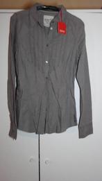 blouse, Esprit, Ophalen of Verzenden, Nieuw