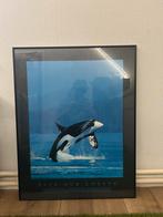 portret, Enlèvement, Comme neuf