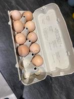 Broei eieren te koop van Amrok kippen., Zo goed als nieuw
