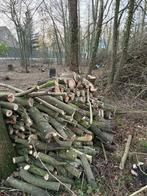 bois mixte a vendrea 7332 SIRAULT : 50€ par stere, Jardin & Terrasse, Moins de 3 m³, Enlèvement, Autres essences de bois, Bûches