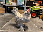 Ukkelse Baardkrielen hanen, Dieren en Toebehoren, Pluimvee, Mannelijk, Kip