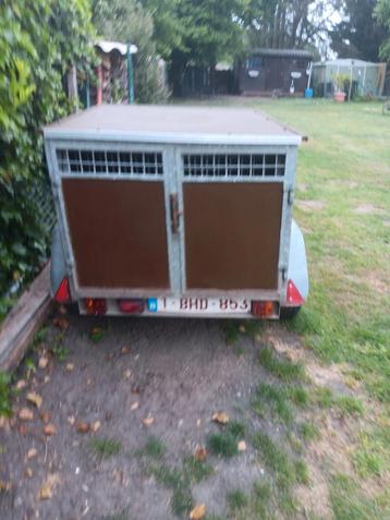 À vendre remorque à chien, Ophalen, Zo goed als nieuw