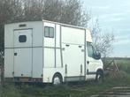 Paardenwagen, Dieren en Toebehoren, Paarden en Pony's | Trailers en Aanhangwagens, Ophalen, Gebruikt, Overige materialen, 2-paards trailer