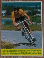 Vintage sticker Eddy Merckx Resi retro cyclisme 70s, Collections, Comme neuf, Sport, Enlèvement ou Envoi