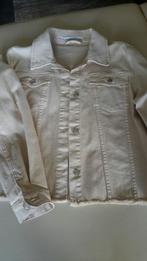 Jeansjasje Xandres maat 42, Kleding | Dames, Overige kleuren, Maat 42/44 (L), Nieuw, Ophalen of Verzenden