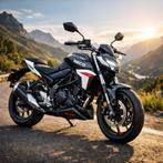 Neco NC-N01 : roadster 125cc voor beginnende liefhebbers, Entreprise