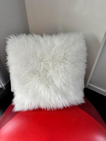Heel mooi sierkussen beschikbaar voor biedingen